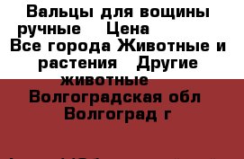 Вальцы для вощины ручные  › Цена ­ 10 000 - Все города Животные и растения » Другие животные   . Волгоградская обл.,Волгоград г.